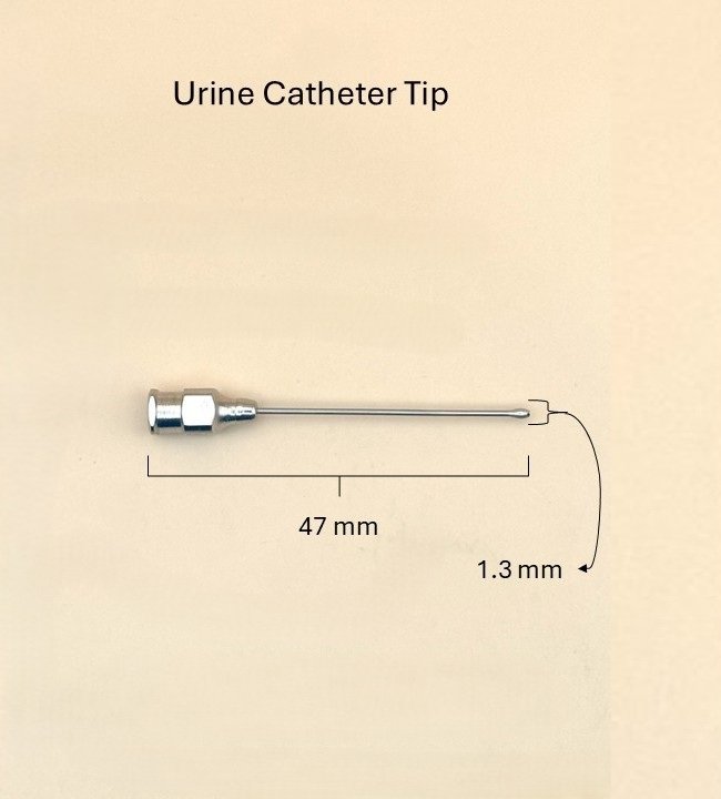Urine Catheter Tip