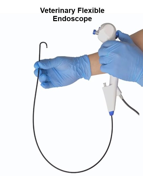 Veterinary Flexible Endoscope