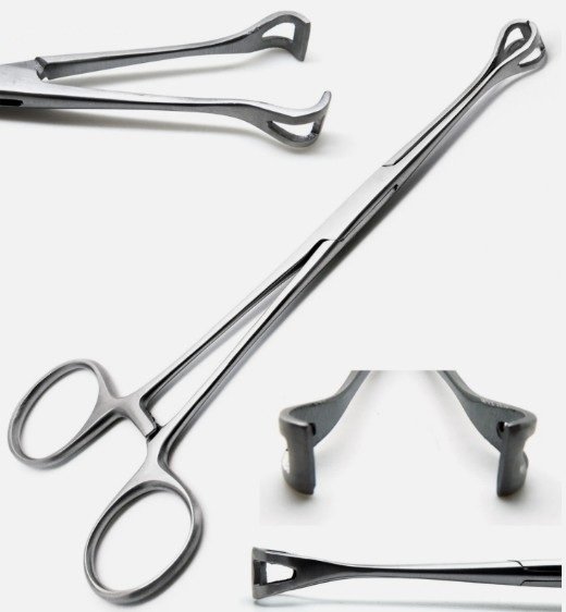 Babcock Tissue Forceps